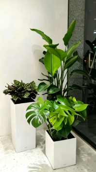 镇海花木租摆位置维修方法与故障排查